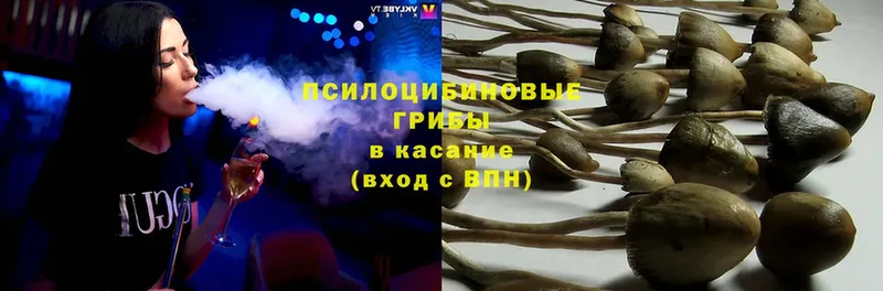 Псилоцибиновые грибы MAGIC MUSHROOMS  мориарти официальный сайт  Ковдор  сколько стоит 